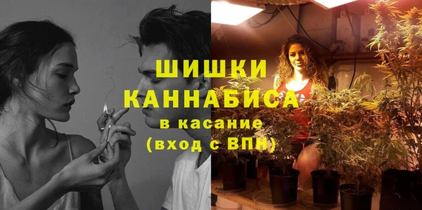 мет Арсеньев
